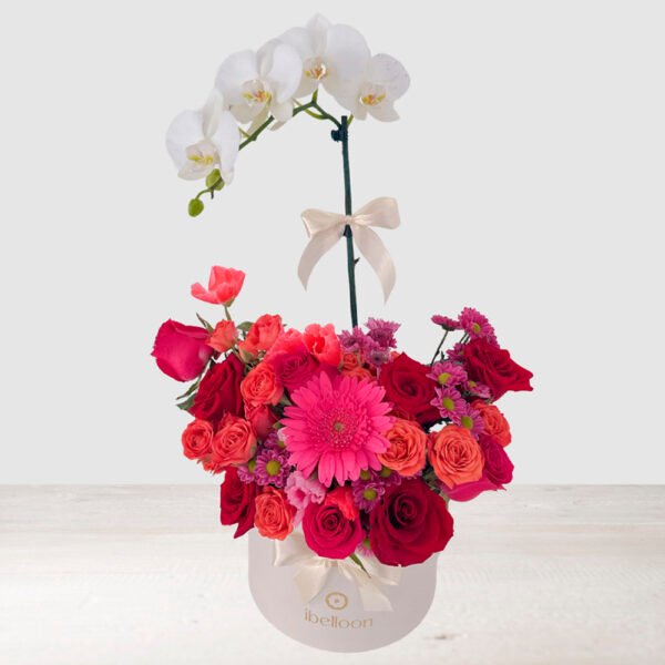 ORQUÍDEA