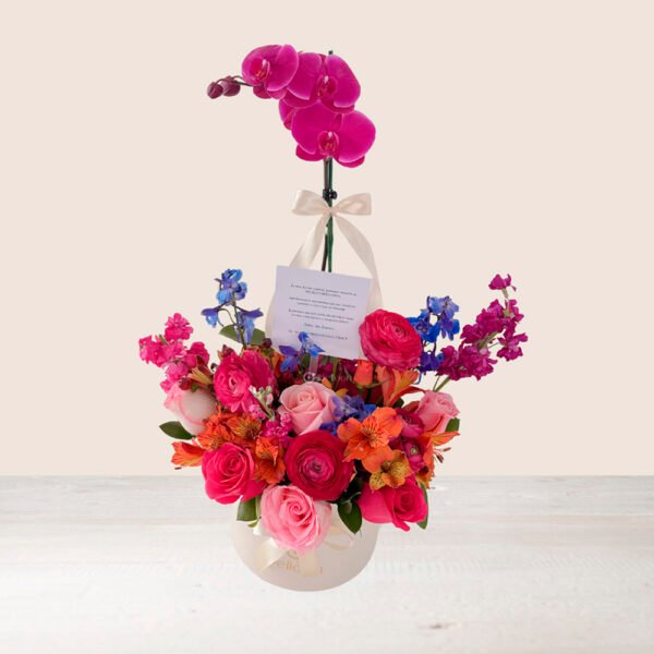 ORQUÍDEA - Image 3